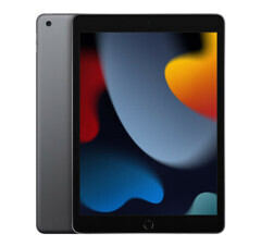 Apple iPad (2021) 256Gb Wi-Fi Space Gray